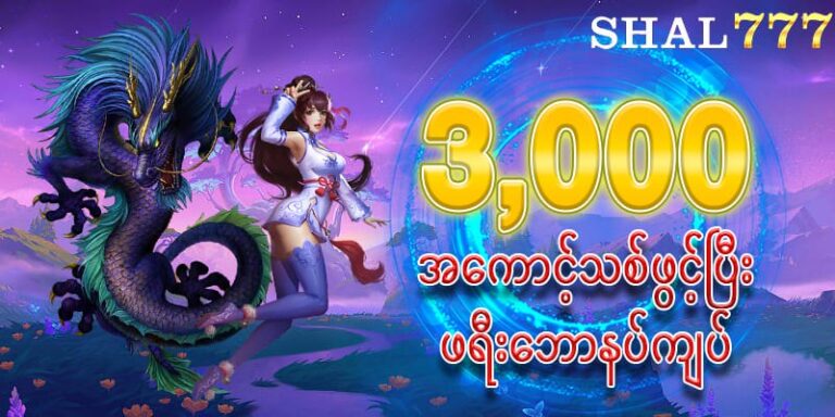 Shal777 Password မေ့ခြင်း