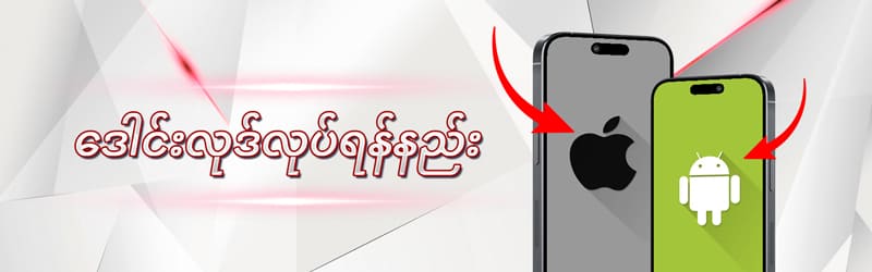 Mobile App / Browser Support